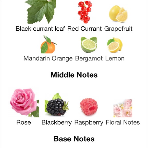 See level out of 100ml, box included. - Picture 2 of 2